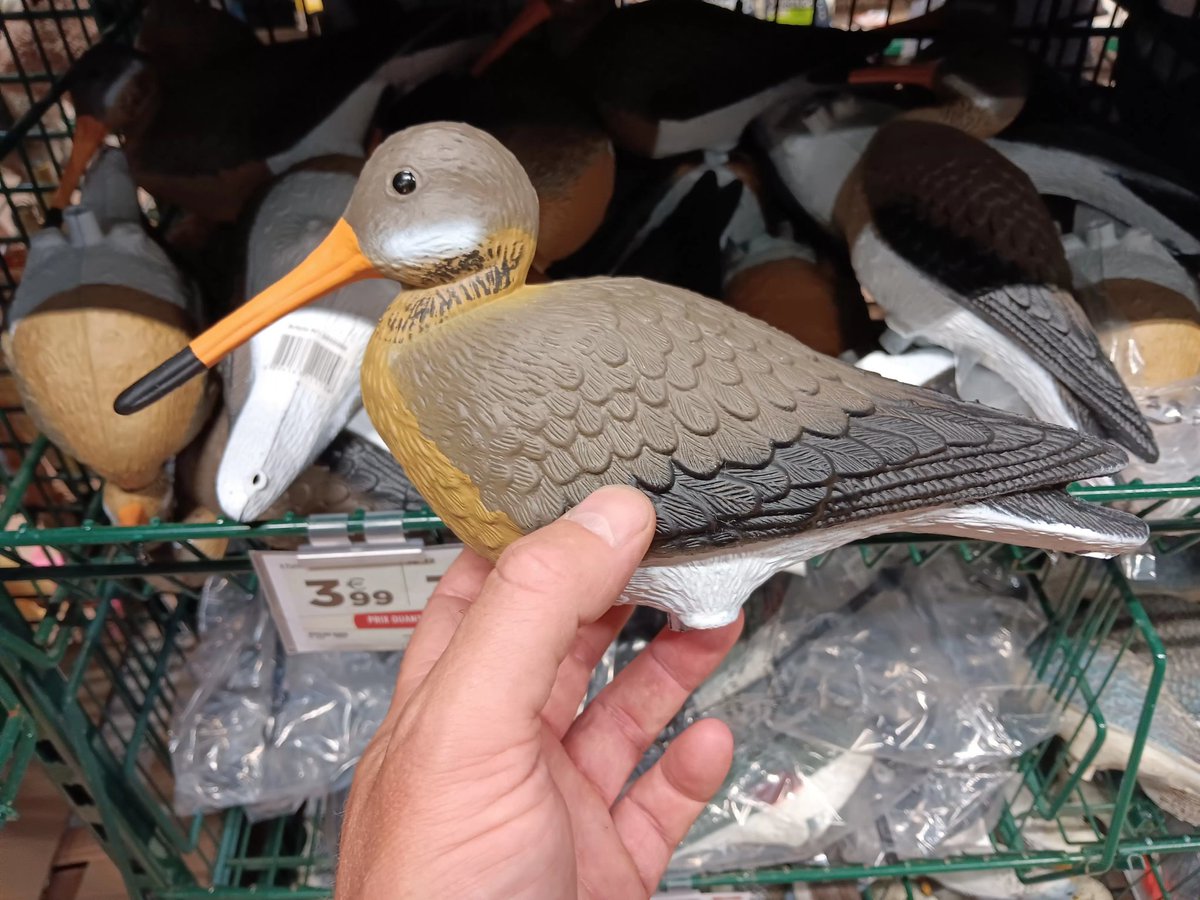 Albert-Erik tweet media