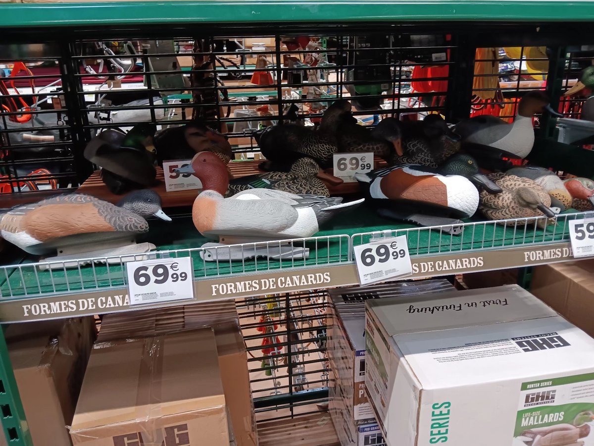 Albert-Erik tweet media