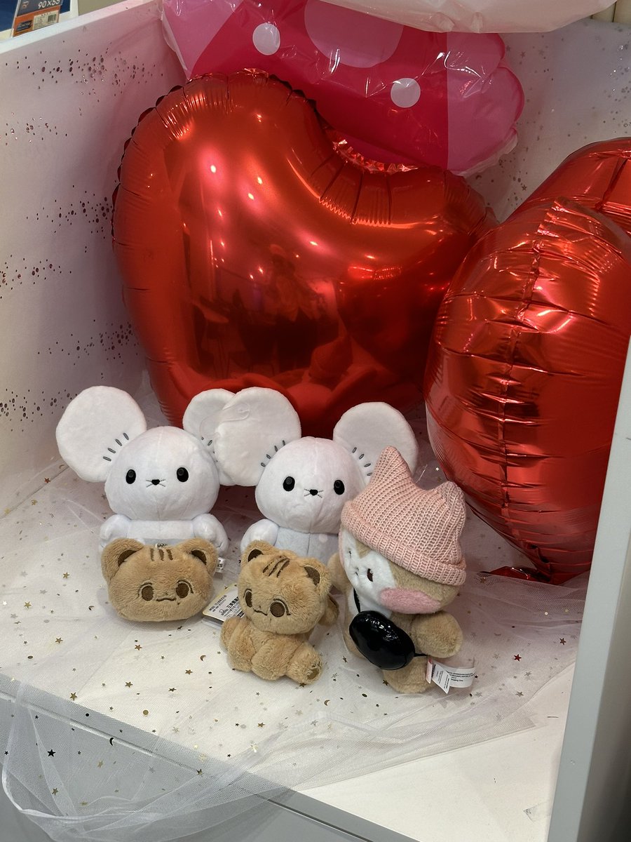 fallging's tweet image. 평생 자리 안 바꾸고 눌러앉아서 생일축하해드릴 결심
#옆자리_가을선배