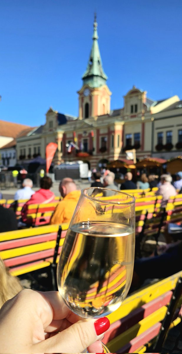 Puncoskka's tweet image. Na zdraví! 🥂
#vinobrani #vylet #vikend