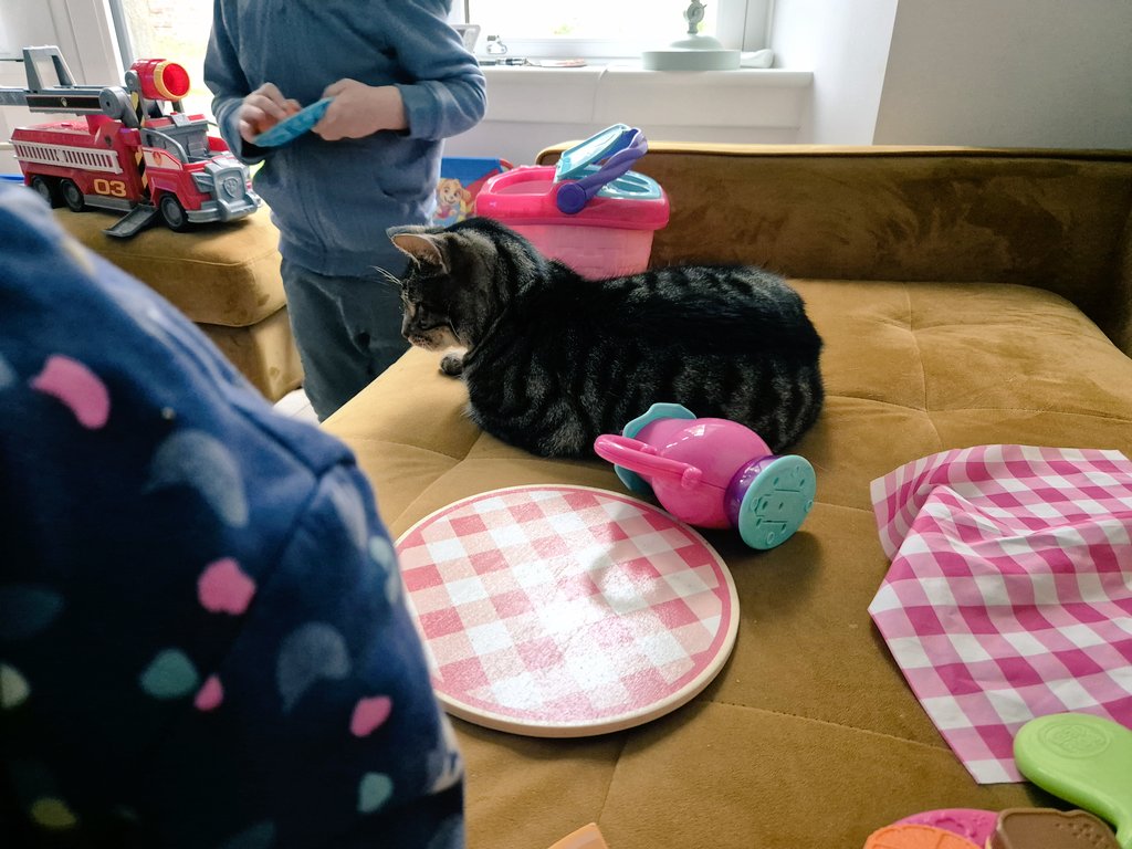 JackcatK's tweet photo. Picnic time with the 2 tiny humans. They decided to set up around me 😹 happy #caturday everyone x https://t.co/eWXdqfH34l