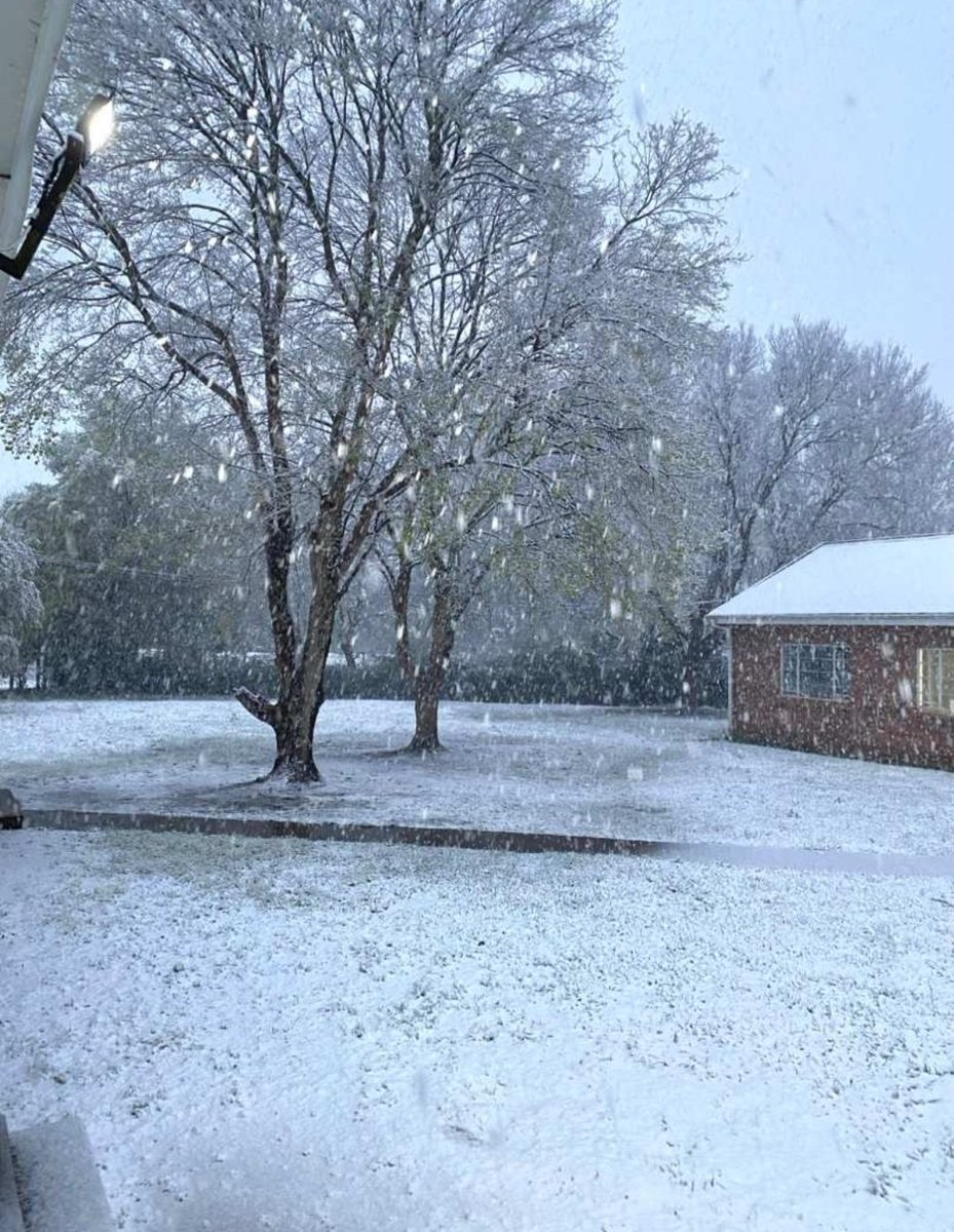 AmandaMbambo7's tweet photo. Temperatures are below 5°C in midlands parts of KZN, with some parts experiencing snow. #Midlands #snowflakes https://t.co/QTrv0qBgNu