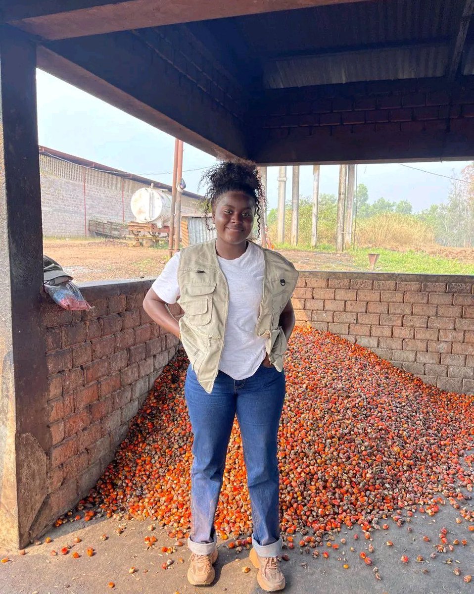 @Jarhis-Ariel tweet media