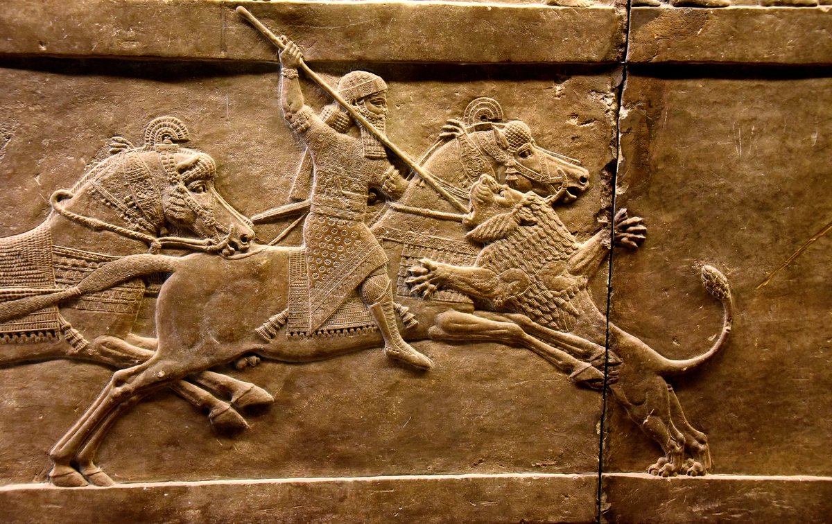 Hussein.𝘔 𝘈𝘓-Shammari (@xdarius_) on Twitter photo 