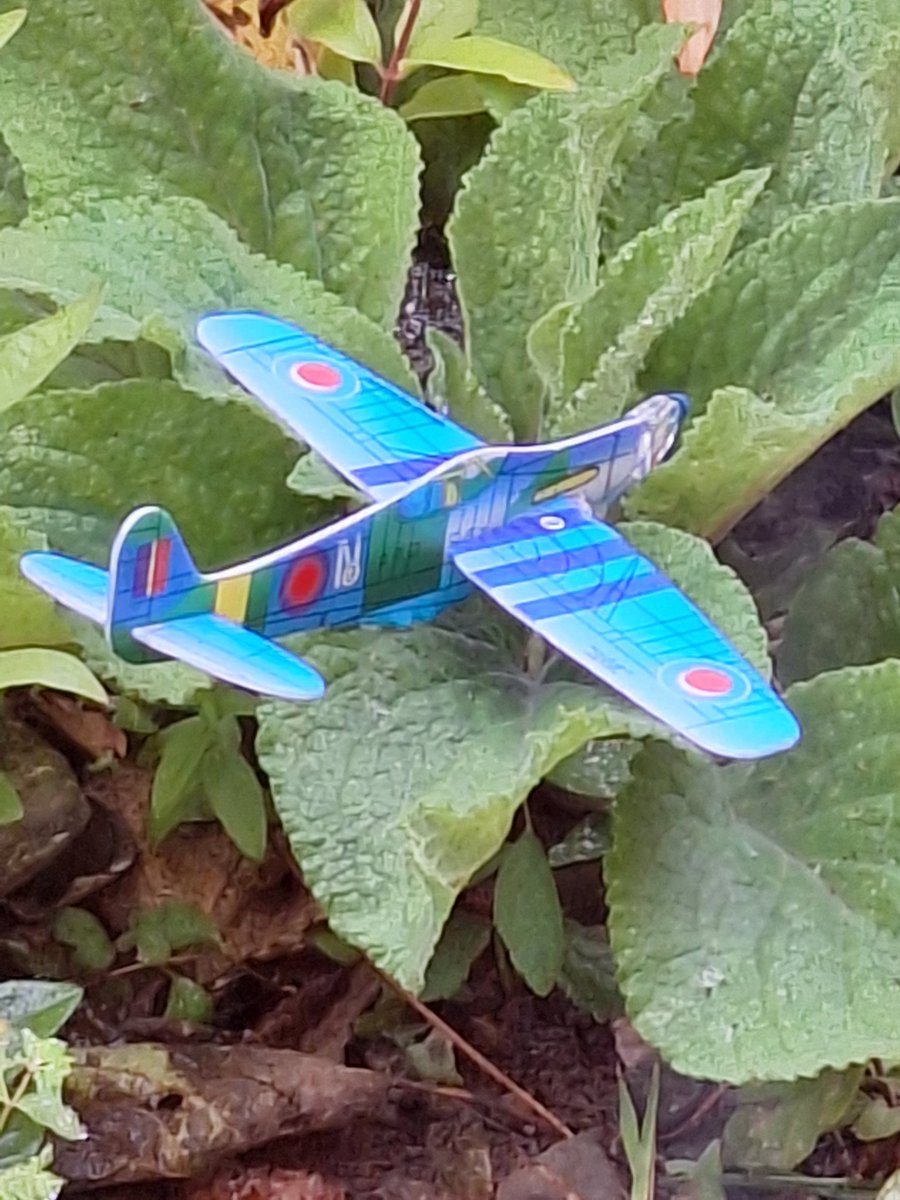 Spitfire down! Mind you, wings on back-to-front and upside down, it was an accident waiting to happen...