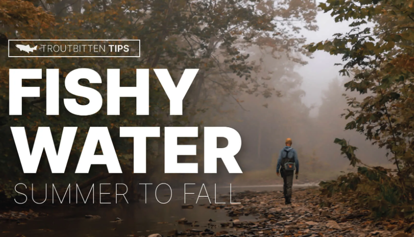 Tips for Reading Water dlvr.it/TDVtJl