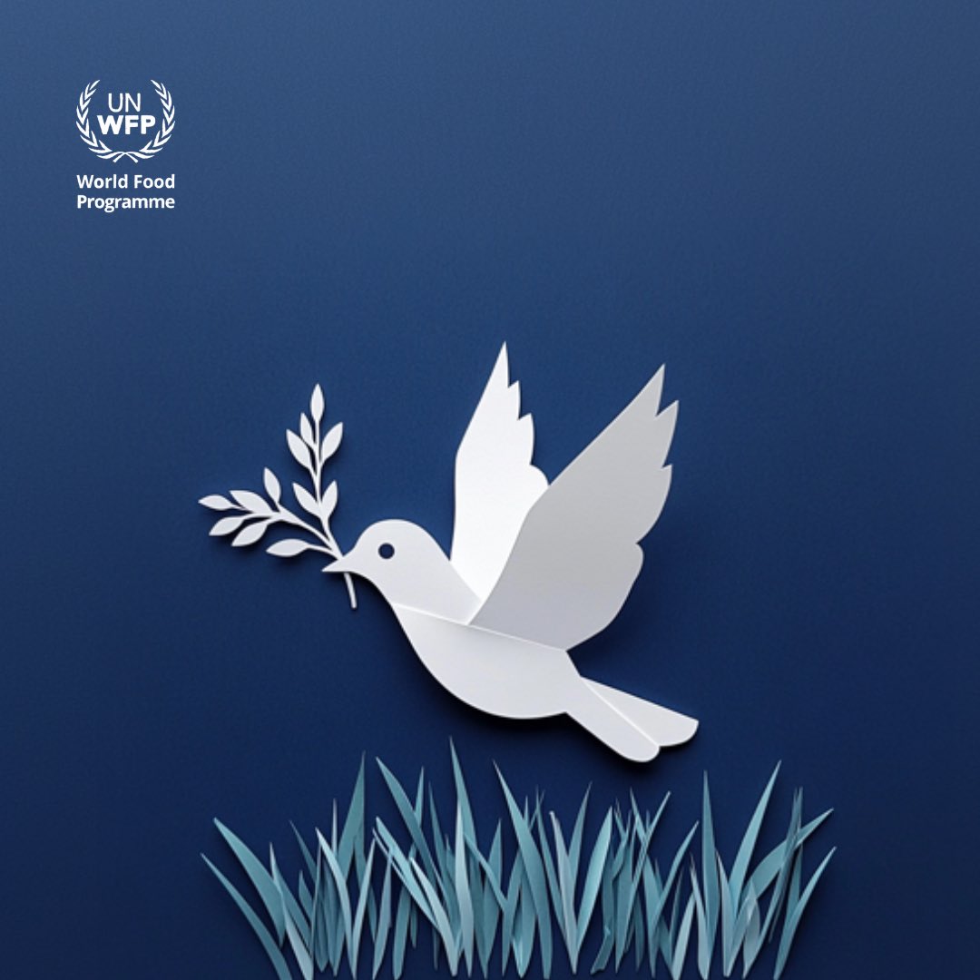 WFP Iran tweet media