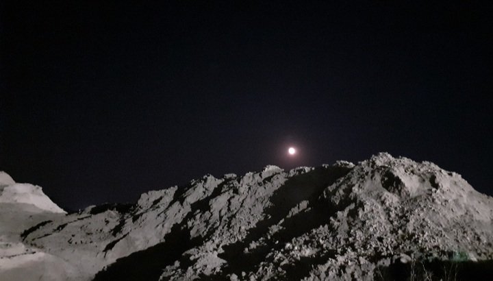 Walking in the moonlight