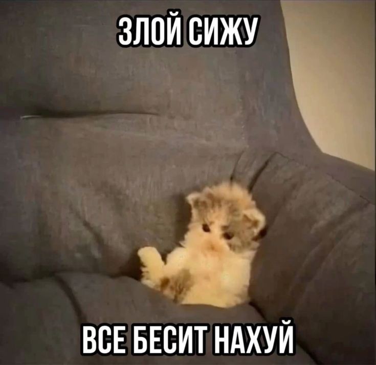 а что я (@fealysaa) on Twitter photo 
