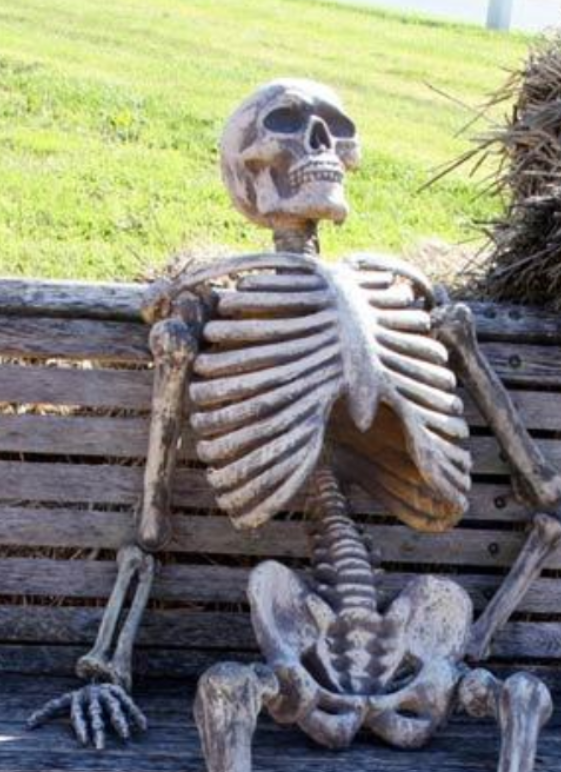 GoldRanch tweet media