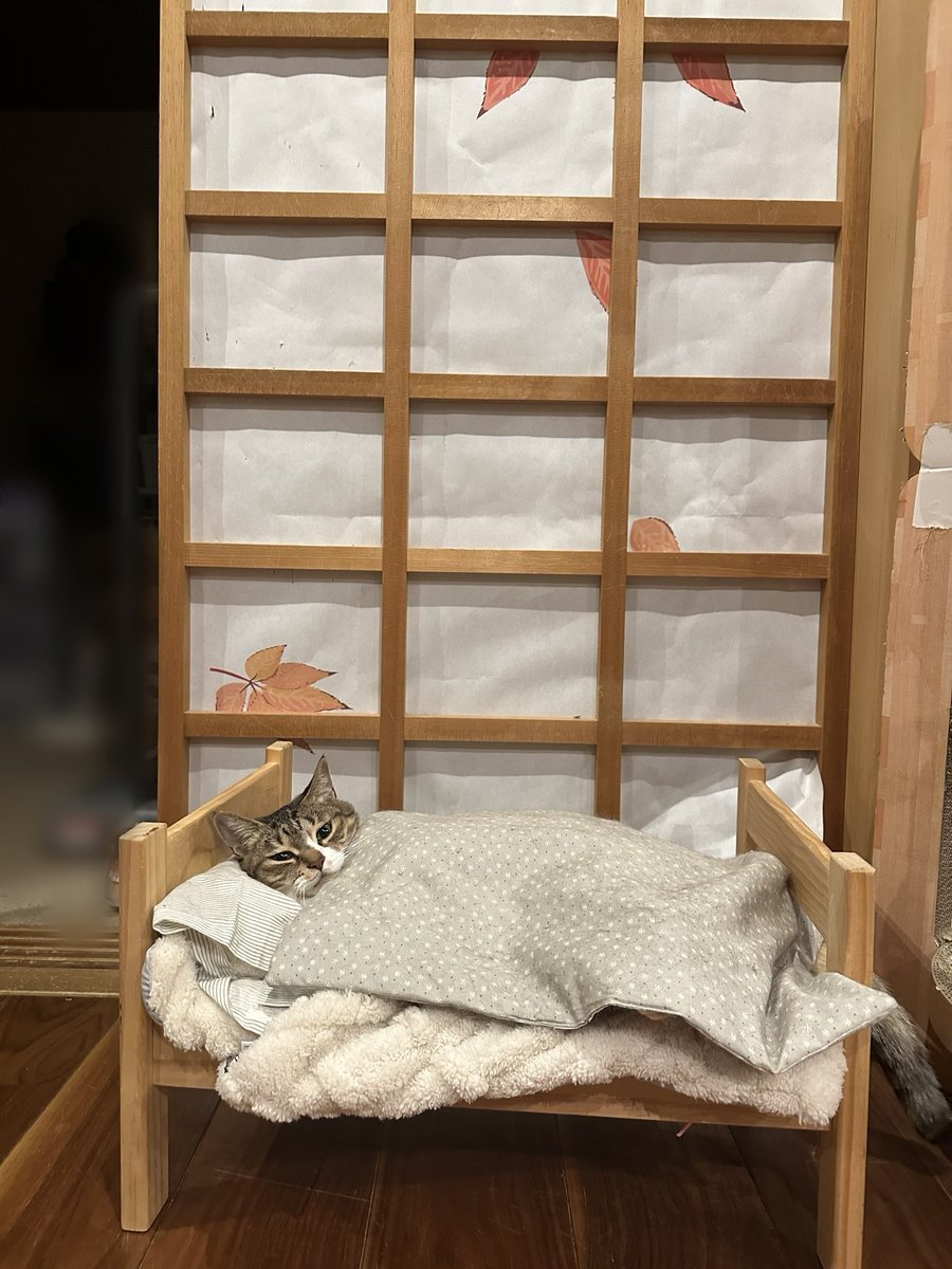 推しが最高すぎるのでちょっと寝込みますね
