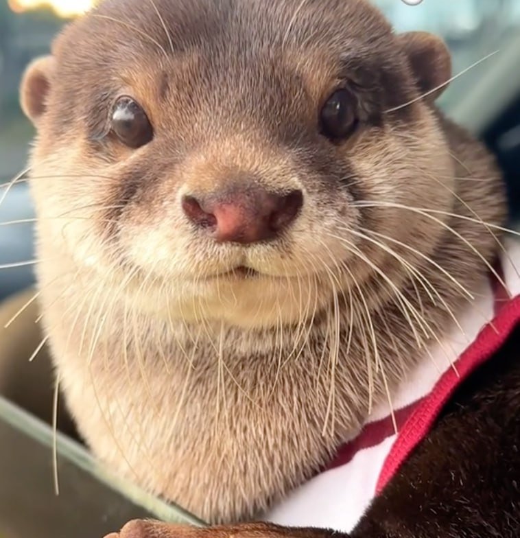 $DEGEN 

Good morning degen army...

#Doggo  #NEIRO #Moondeng