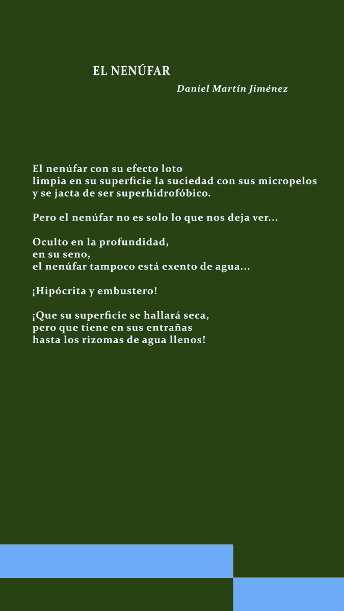 Bctuab's tweet photo. La nimfea: aquàtica, flotant, ésser d'aigua. Fins i tot allà on no es veu.
Per què doncs sembla hipòcrita i mentidera?

Avui, "El nenúfar" d'en Daniel Martín Jiménez @DMartinJimen, investigador de l'@icmabCSIC.

#CiènciaiPoesia @lauramorron @CristinaSopena1 https://t.co/WdSdZsN2vK