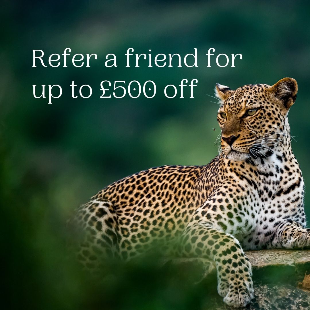 We love helping travellers see the world in a way that’s personal to them. That’s why we’ll reward you when you spread the word about us. 🌎 If you refer a friend to Rainbow Tours, you’ll both enjoy a discount of up to £500 on your next #travel experience. bit.ly/RT-ReferAFriend