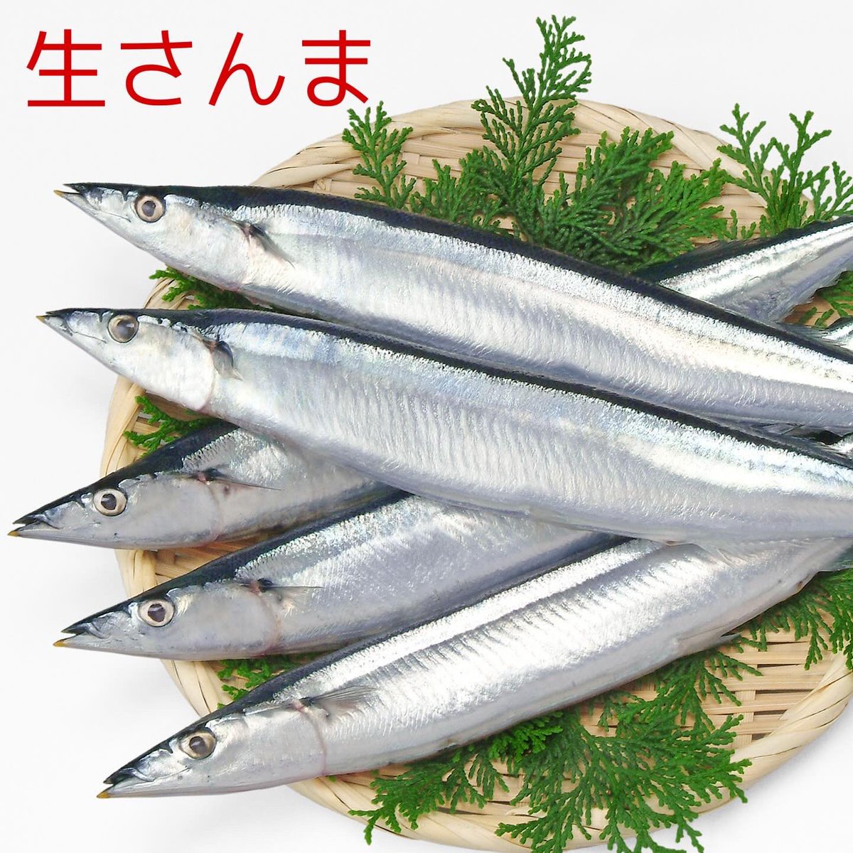 gran_market's tweet photo. 北海道産生サンマ2Kg(15尾〜16尾)

新鮮な生秋刀魚
口先が黄色くなっている秋刀魚は鮮度がよく、脂がのっている証拠
そして目が透き通っています。
さんま焼きの場合は、大根おろしたっぷりと醤油をつけてお召し上がりください。
#秋刀魚#サンマ#さんま#お取り寄せグルメ#北海道グルメ#札幌#美味しい https://t.co/jKicNL7Jrc