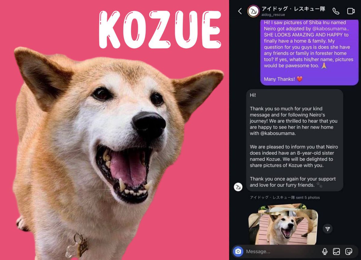 CaTMaNxD3000's tweet photo. @EzMoneyGems Why not get in on the fun over at $kozue while you're at it? It's already doing numbers and is gonna slap even harder! Actual sister of $neiro, which makes the narrative insanely good 📈🤌🏼
@KozueCommunity https://t.co/RZyfLtHvsO