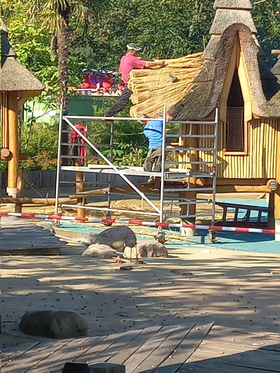 eftelduif's tweet photo. Er zijn dakdekkers druk bezig om stro klaar te leggen voor de renovatie van archipel #Efteling https://t.co/qEn9GlfFFB