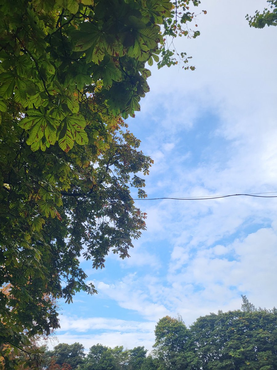 Haslemere Food Festival tweet media