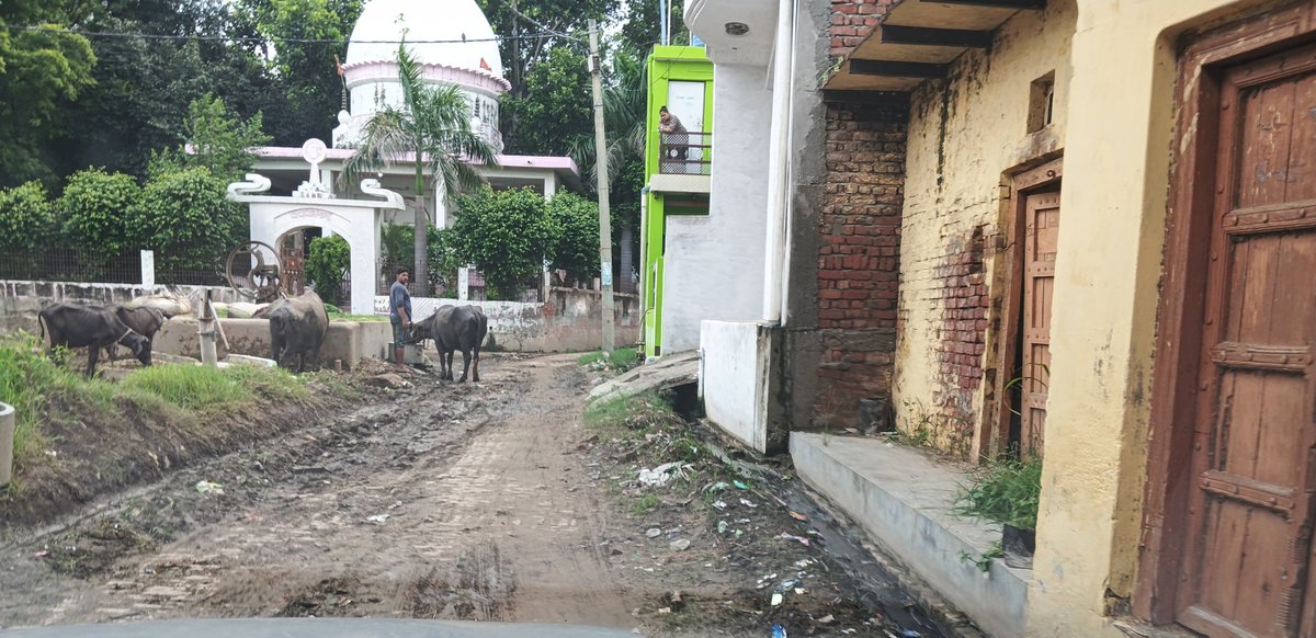 Sandeep97584678's tweet photo. @CMOfficeUP
@DM_Etah 
@CdoEtah 
महोदय ग्राम नराऊ पंचायत नराऊ वीरनगर ब्लॉक अवागढ़ जनपद एटा की उत्तर पश्चिम आबादी को जोड़ने वाले एक मात्र रास्ते पर अतिक्रमण एवम् गंदगी का अंबार है। नालियां बंद है। रास्ते पर घूरे, उपले, लकड़ी, ईंटें , जानवरों क��� कब्जा है। https://t.co/3JADDCk8ET