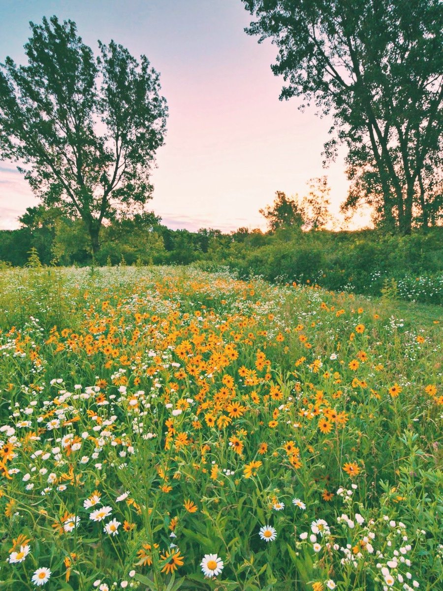 Ich wünsche euch allen von ganzem Herzen ❤ einen wunderschönen Samstag 🌞 🌞 🌞 🌞 mit hoffentlich etwas Sonnenschein ☀ ☀️ ☀️ und viel Freude 😊 🙃 😊 🍀 🎼 🎵 🎶 💃 🕺 🎉 🎈 🌈 😺 🎉 💐 🐶 🎉 ☕ 📚 📖 🍽️ 🍷 🍵 🌈 😺