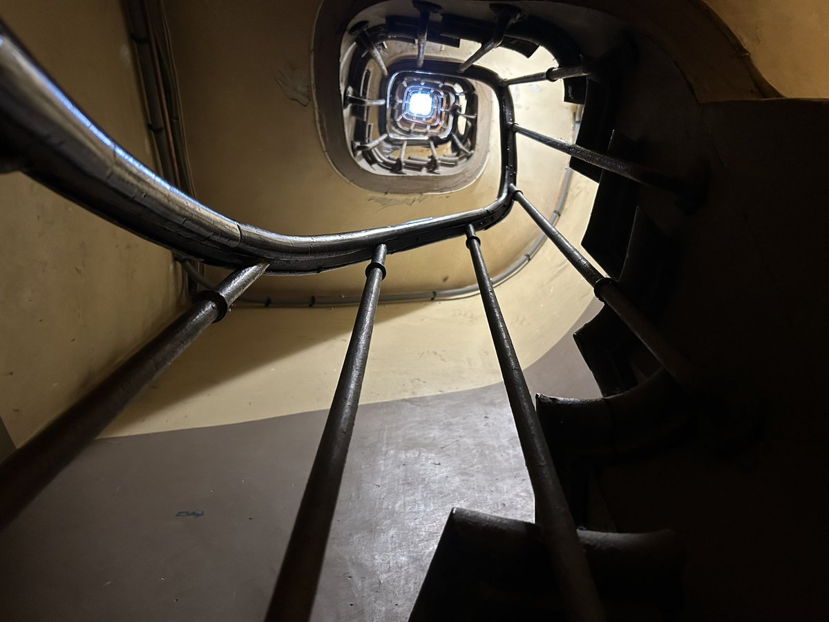 Tibor M. Kalman tweet media