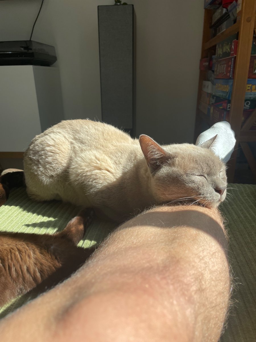 LG von hubert und hitler