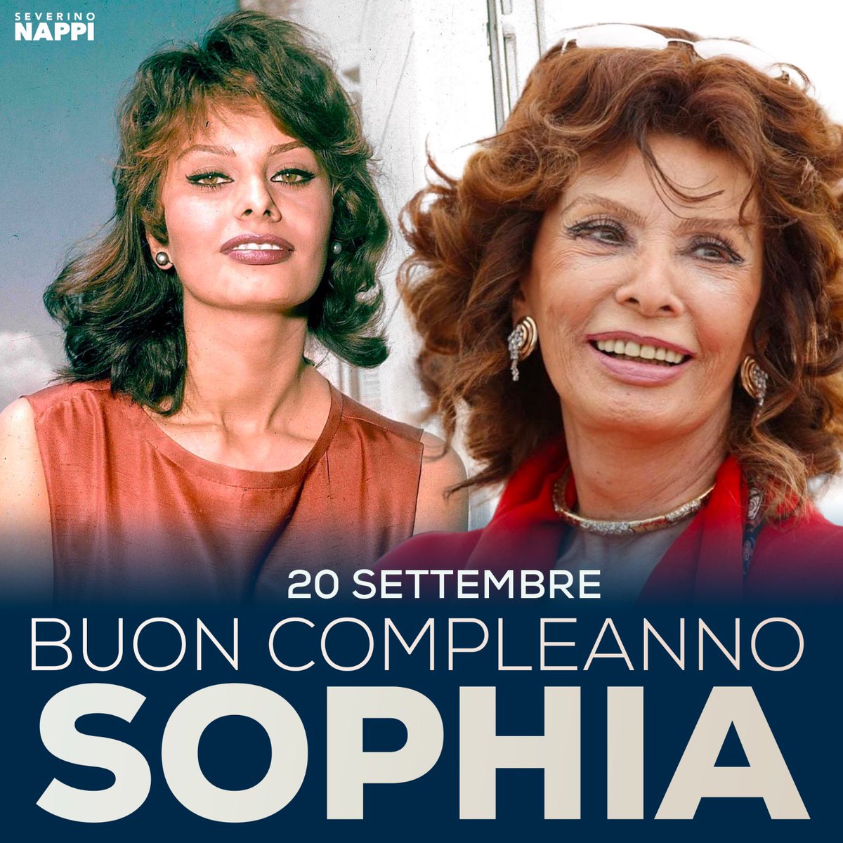 steve (@stephen58830613) on Twitter photo 