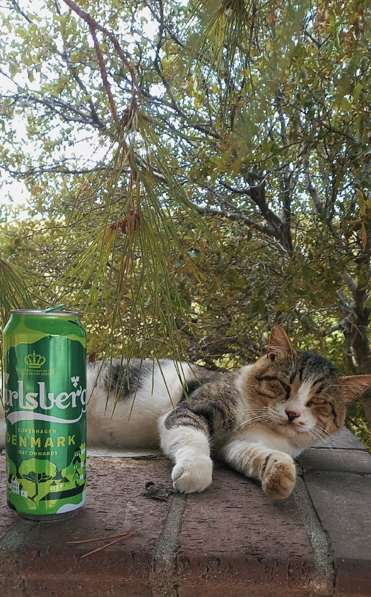 Pixie月 (@ezgiwa) on Twitter photo 