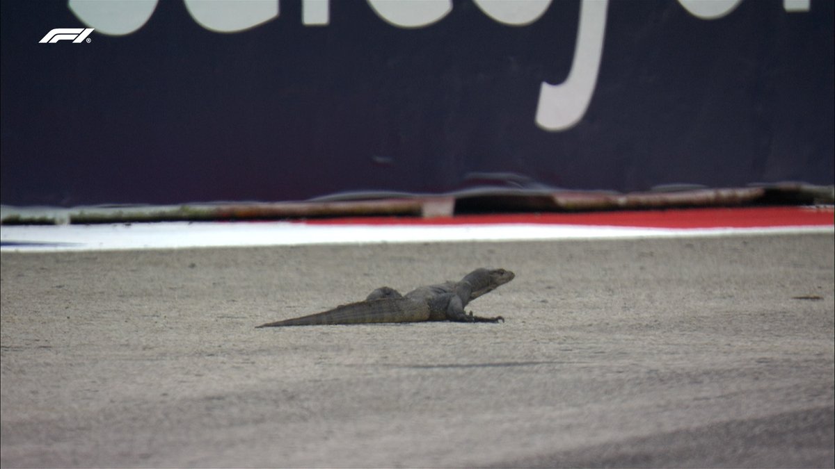 Dion de Brouwer tweet media