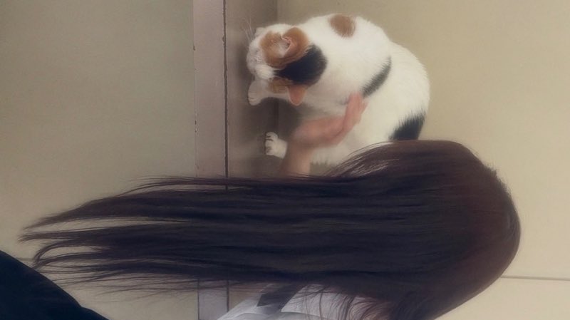 ≽^⎚˕⎚^≼ .ᐟ