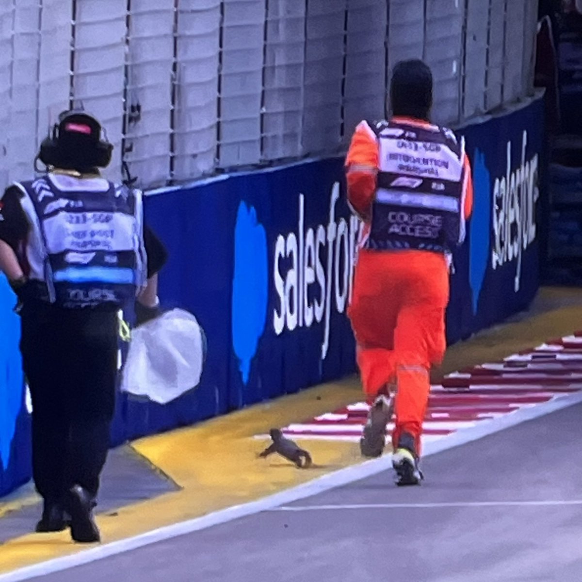 Driver of the Day result is in early!! 😌🦎

#F1 #SingaporeGP