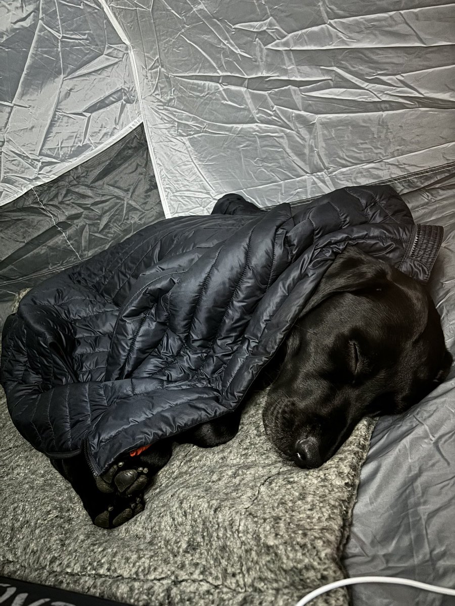 And the boy seemed relaxed, but he got a little chilly at night, so he borrowed my Gilet…