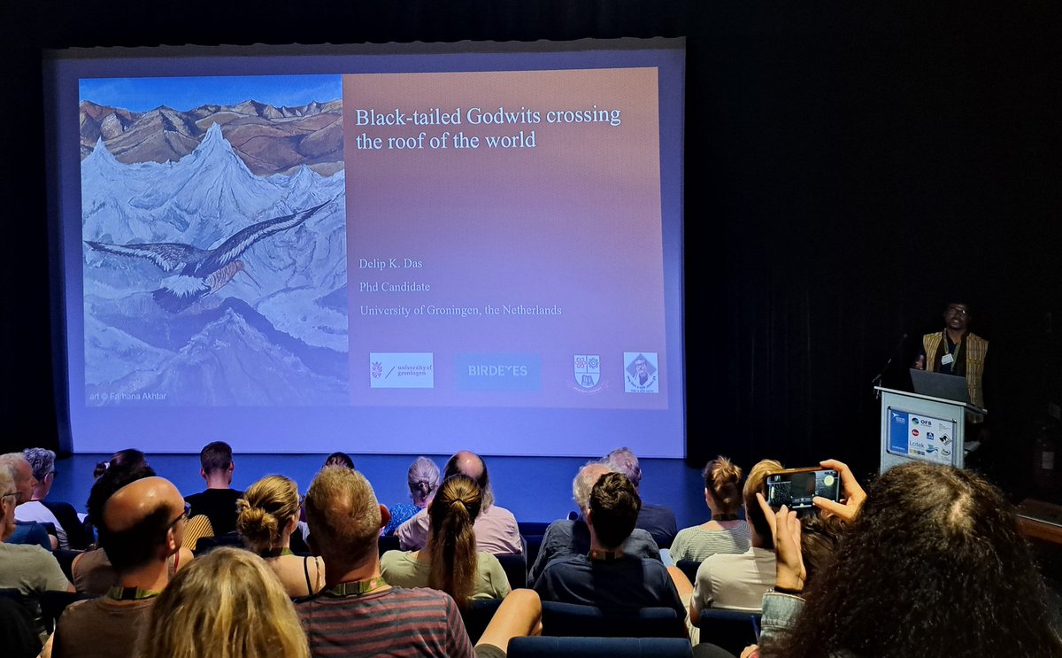 Miguel A. Gómez-Serrano (@gomezserrano_ma) on Twitter photo The fantastic adventure of crossing the Himalayas if you are a black-tailed godwit, by Delip K. DAS, from Bangladesh.
Migration Session. <a href="/WaderStudy/">Wader Study</a> Conference #IWSG2024 in Montpellier #IWSG_conf. The fantastic adventure of crossing the Himalayas if you are a black-tailed godwit, by Delip K. DAS, from Bangladesh.
Migration Session. <a href="/WaderStudy/">Wader Study</a> Conference #IWSG2024 in Montpellier #IWSG_conf.