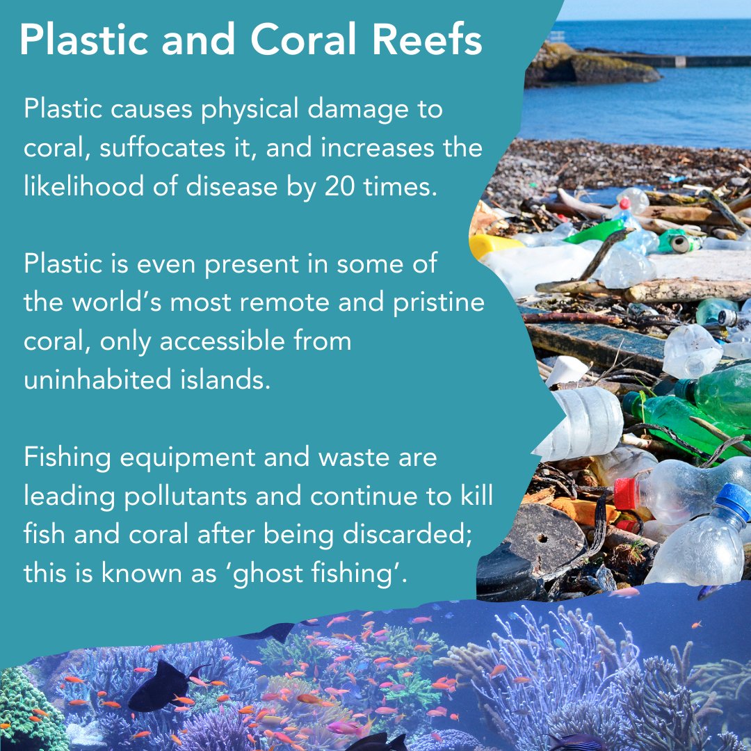 Royal Commonwealth Society tweet media