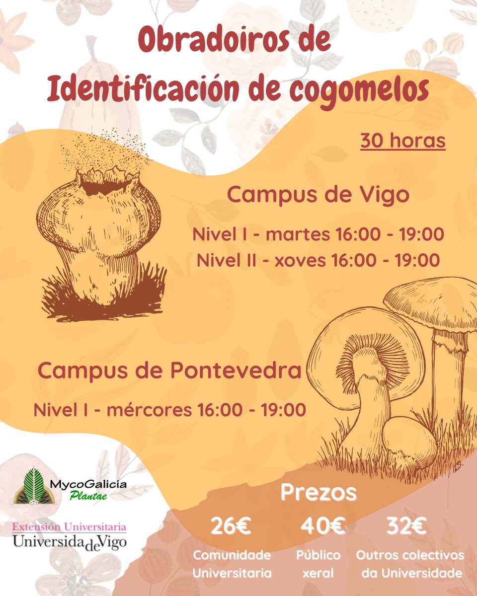 MycoGalicia Plantae tweet media