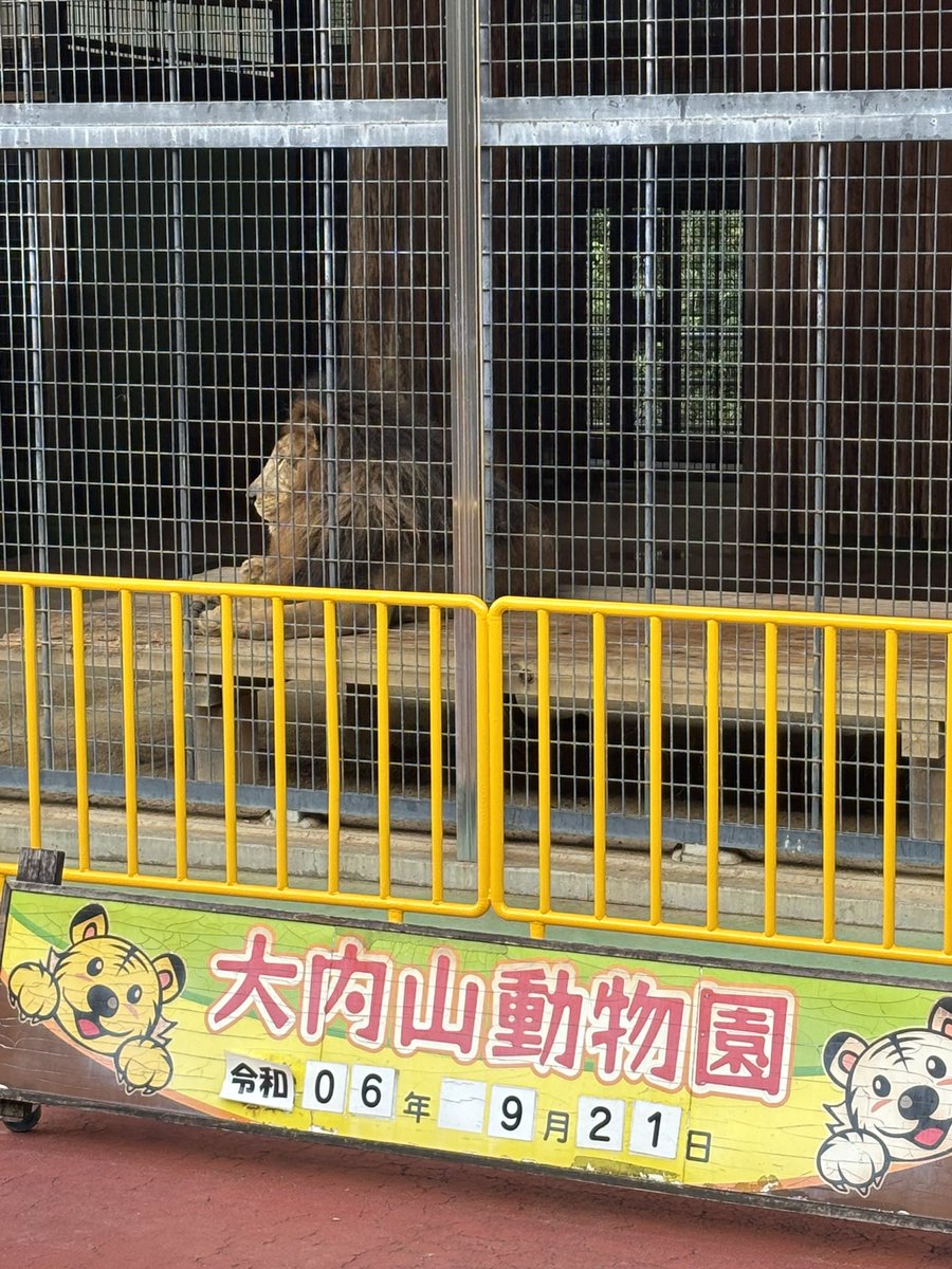 aho1go's tweet image. どうぶつ見てきた