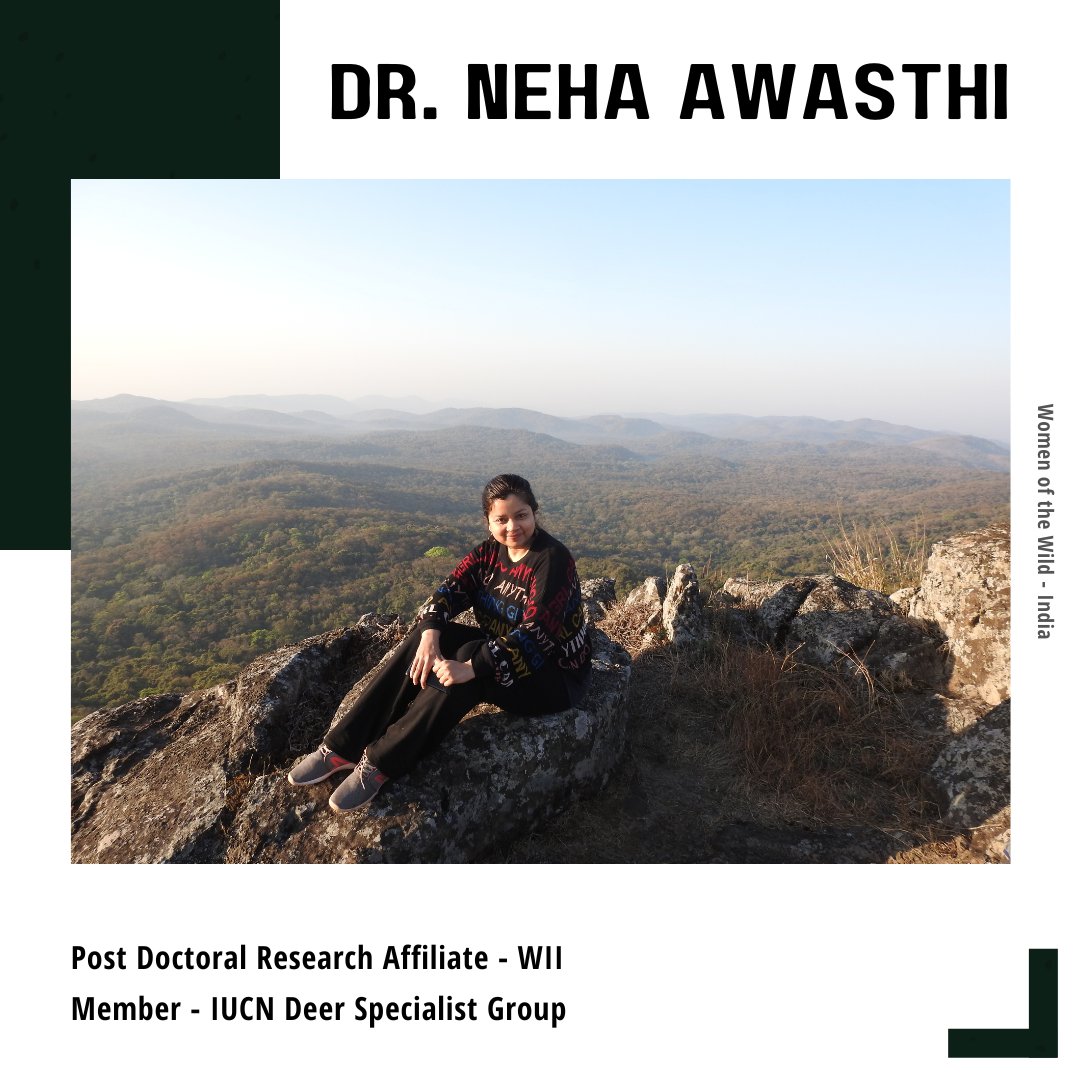 TheGaiaPeople (@gaiapeople) on Twitter photo #WomenOfTheWild #India
<a href="/nehawildlifer/">Neha Awasthi, PhD</a> - Read her story here:
instagram.com/p/C-6pyhUyaRZ/… #WomenOfTheWild #India
<a href="/nehawildlifer/">Neha Awasthi, PhD</a> - Read her story here:
instagram.com/p/C-6pyhUyaRZ/…