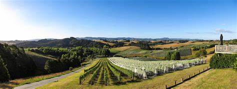 Scott Hamilton RTM tweet media