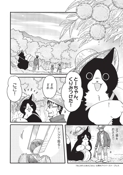 でっかい猫又と秋のご飯をいっぱい食べるお話(1/4) 