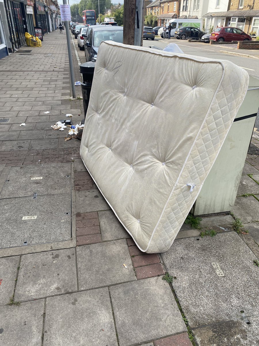 Tim Duck tweet media