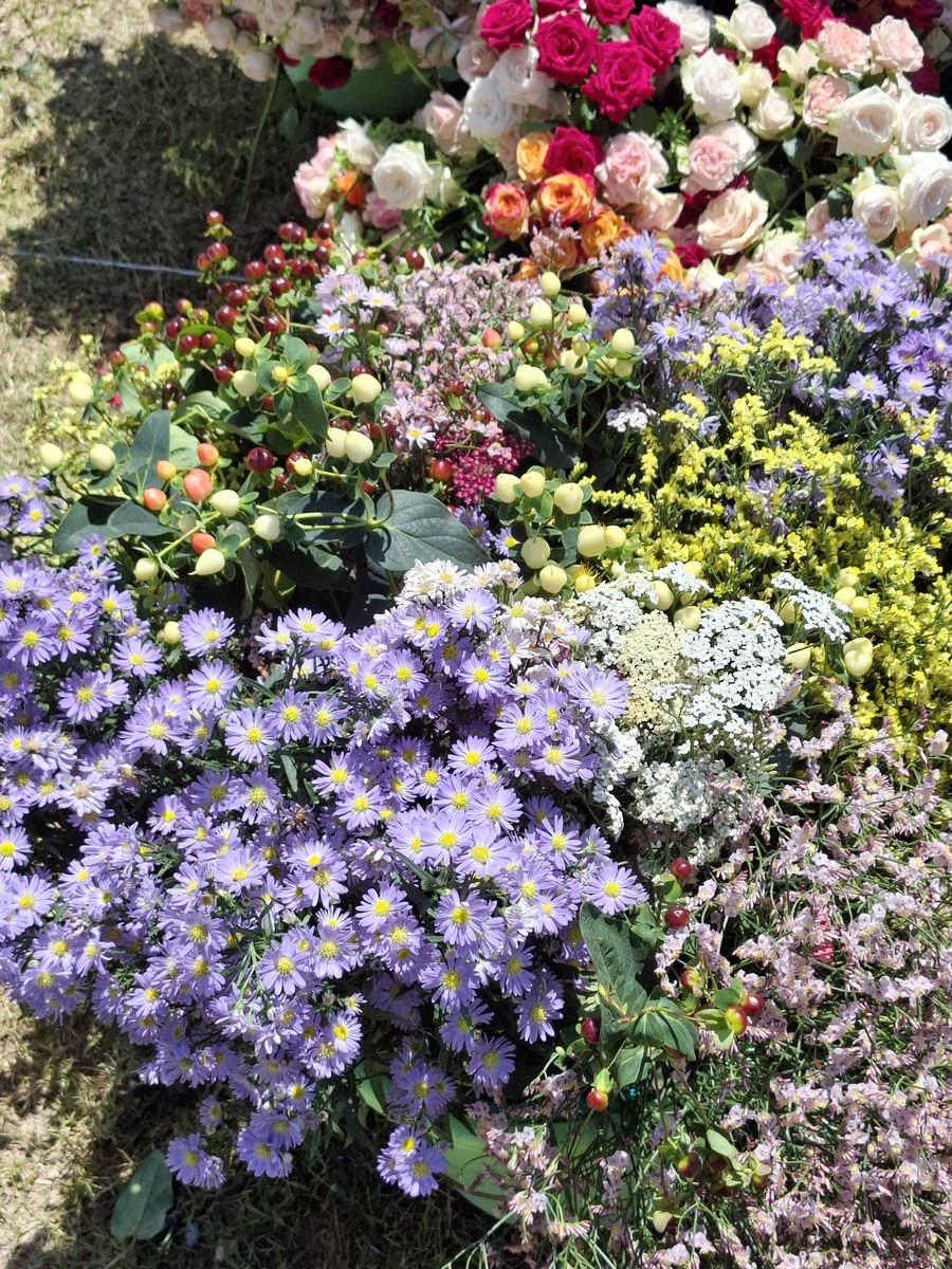 KephisKe's tweet image. Hello Naivasha msiachwe nyuma, it's the 2nd and last day of the Naivasha Horticultural Fair!

Come let's interact and share ideas at this very impactful event held at the Naivasha Sports Club. 

#Seedcertification 
#planthealth
#laboratoryservices