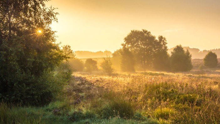 Brontë Country Landscapes tweet media