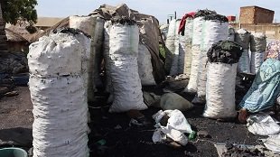 Charcoal and firewood production are contributors to the high rate of tree loss in Uganda. However, its  necessary evil because many households depend on these for fuel. This presents an opportunity to promote Fmnr for faster tree recovery. Visit us at www fmnrnetworkuganda.org