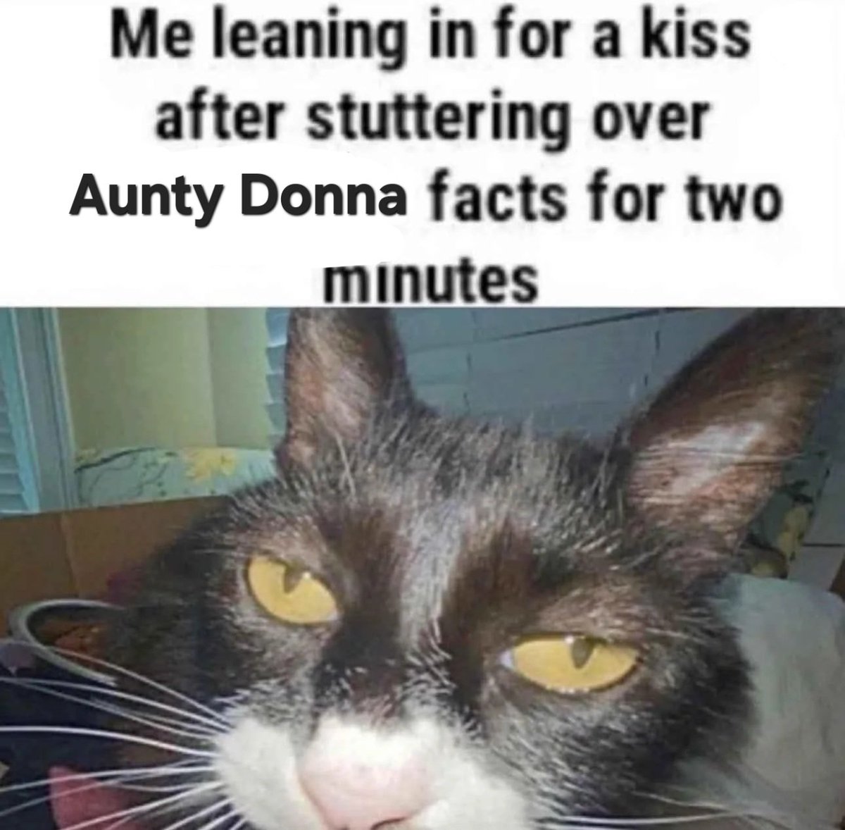 Aunty Donna OoC (@auntydonnaooc) on Twitter photo 