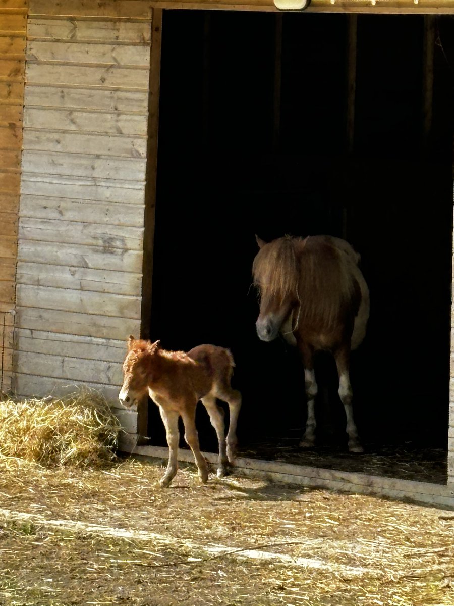 RobbieRed67's tweet image. Hope everyone's Saturday is going well? I work for a charity @AspensCharities who are hoping to raise money,  can I ask a favour by clicking below &amp;amp; vote for Aspens, even better share it on social media thanks myfavouritevouchercodes.co.uk/?fbclid=IwZXh0… #socialcare #charity