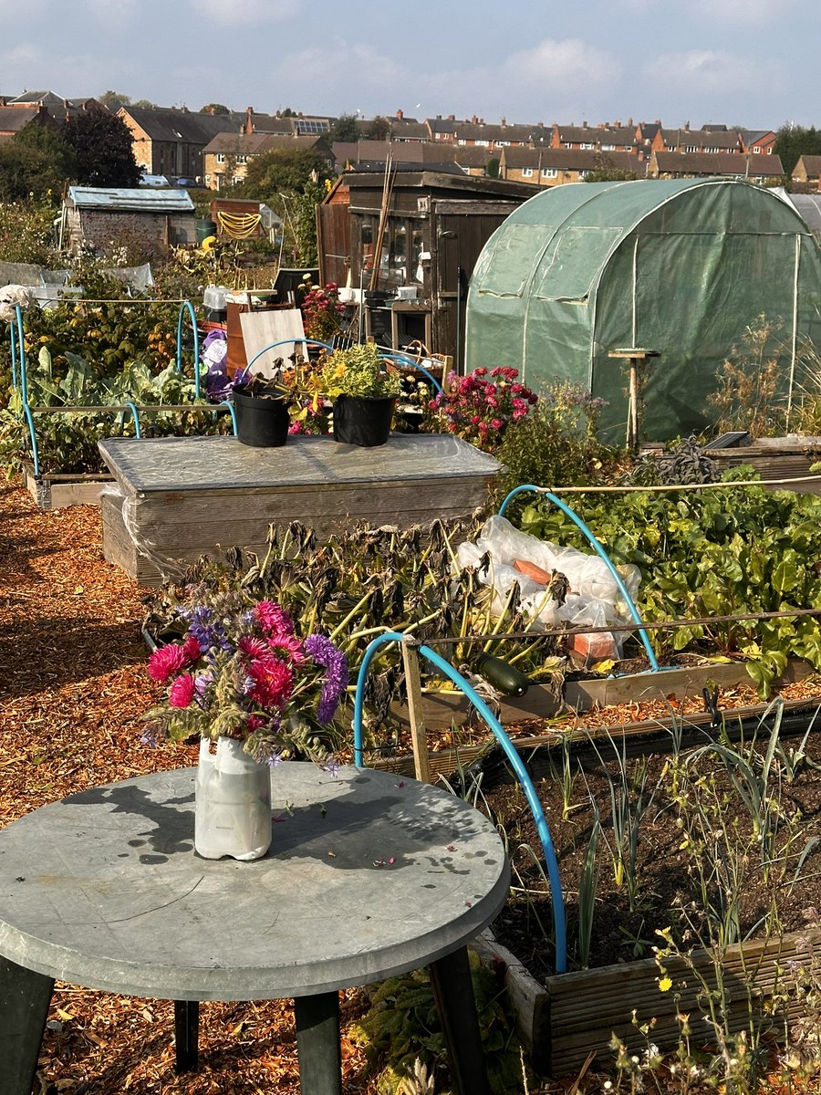 pvt_ak's tweet photo. Being a key holder and committee member means I’m always on the move around the plots. Folks often ask, ‘How will we know you’re on site?’ Simple—I fly my floral flag! Just look for the flowers on the table 🌸😎 #AllotmentLife #PlotLife #GardenVibes https://t.co/YN53CPyMFF