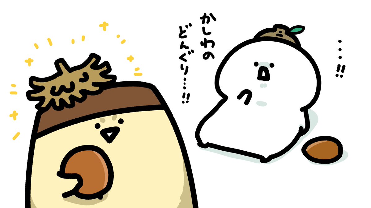 どんぐり🌰 