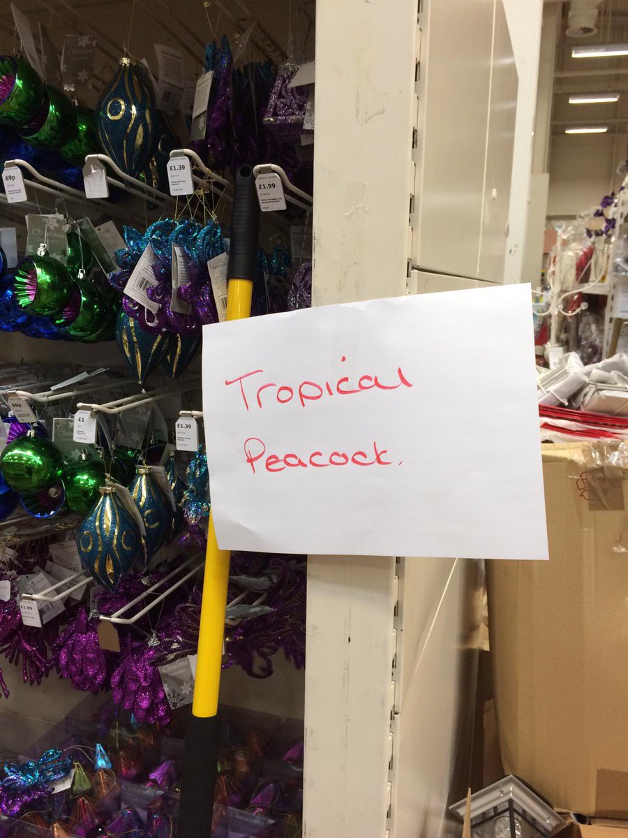 Nothing to do with anything but one of my favourite pictures…

94 days 😜