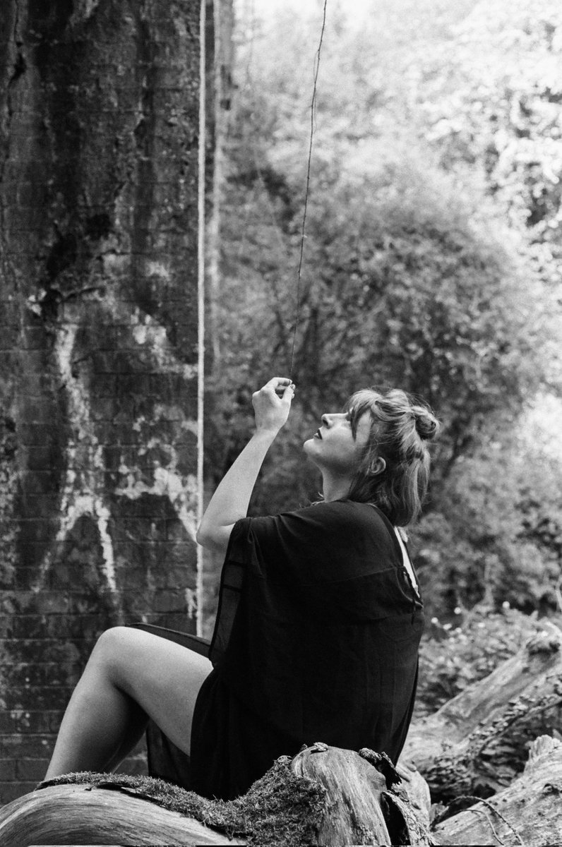 🌊🌊 tweet media