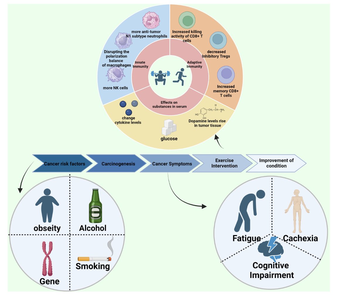 Antonio García-Hermoso tweet media